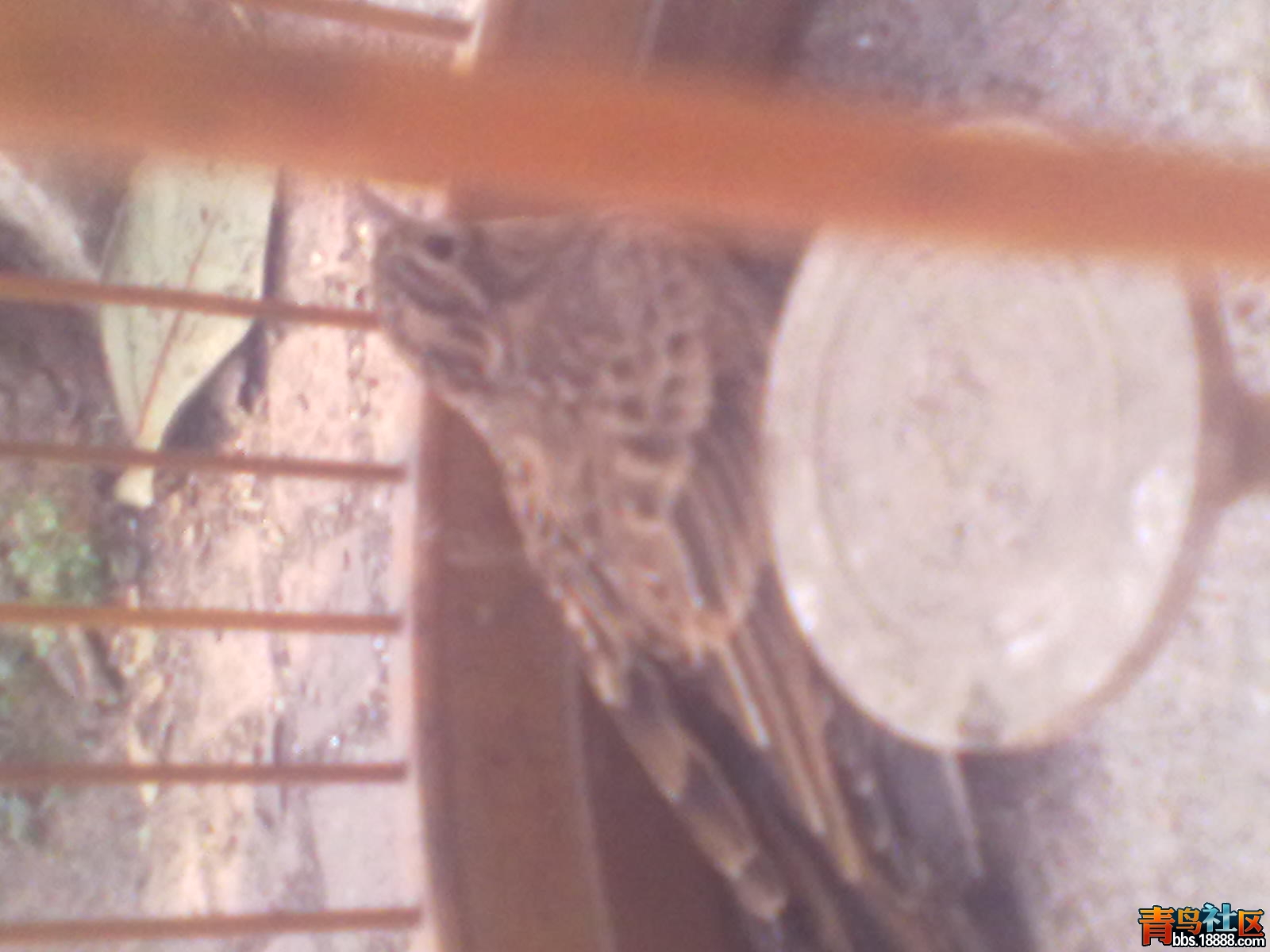 20121014153.jpg