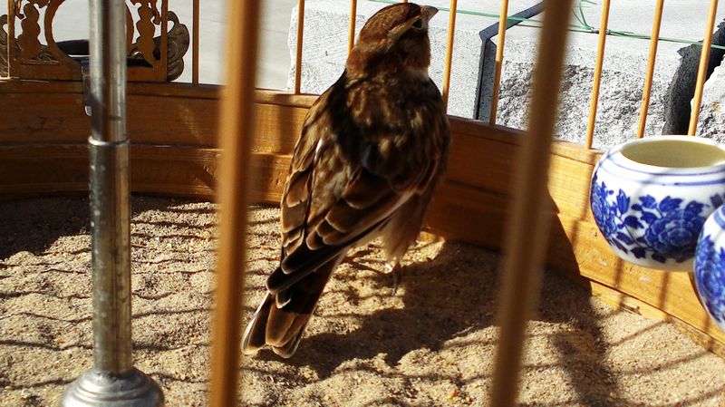 nEO_IMG_2012-10-17-499.jpg
