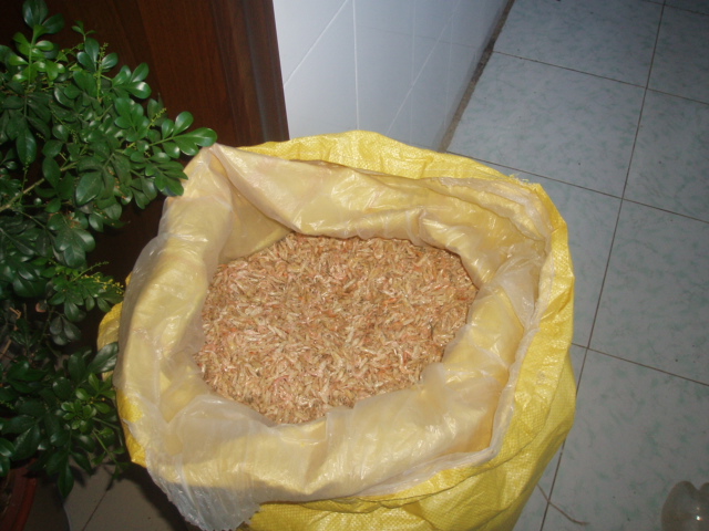P1010052.JPG