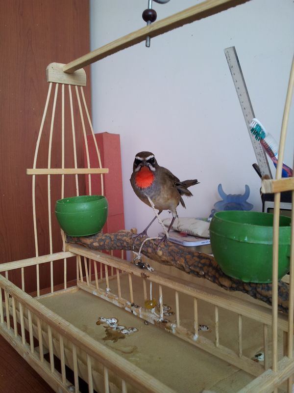 20121005_085047.jpg