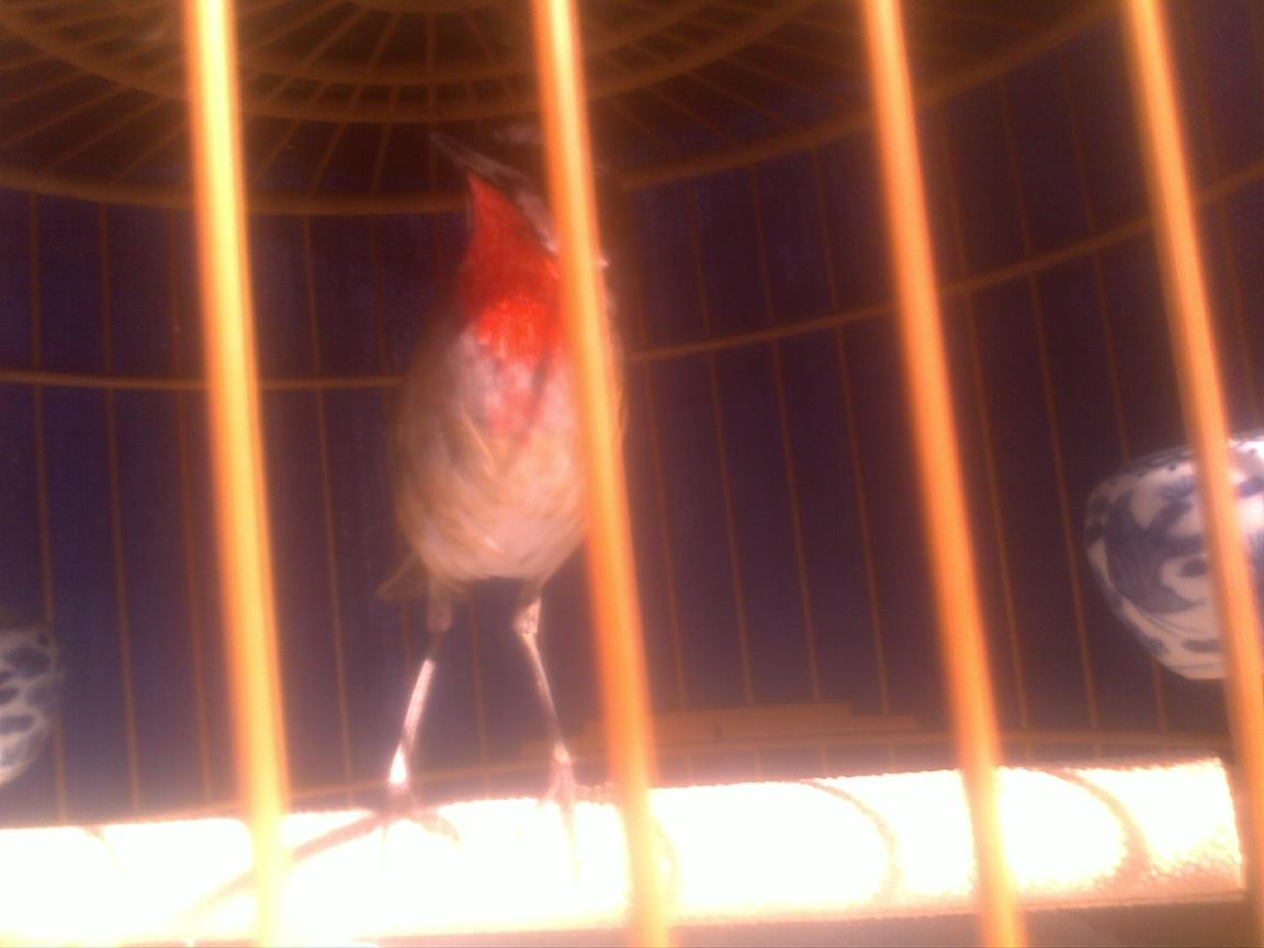 20121001164.jpg