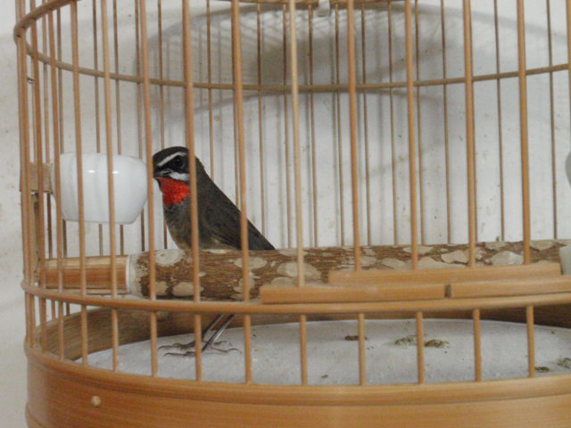 PA081141.JPG