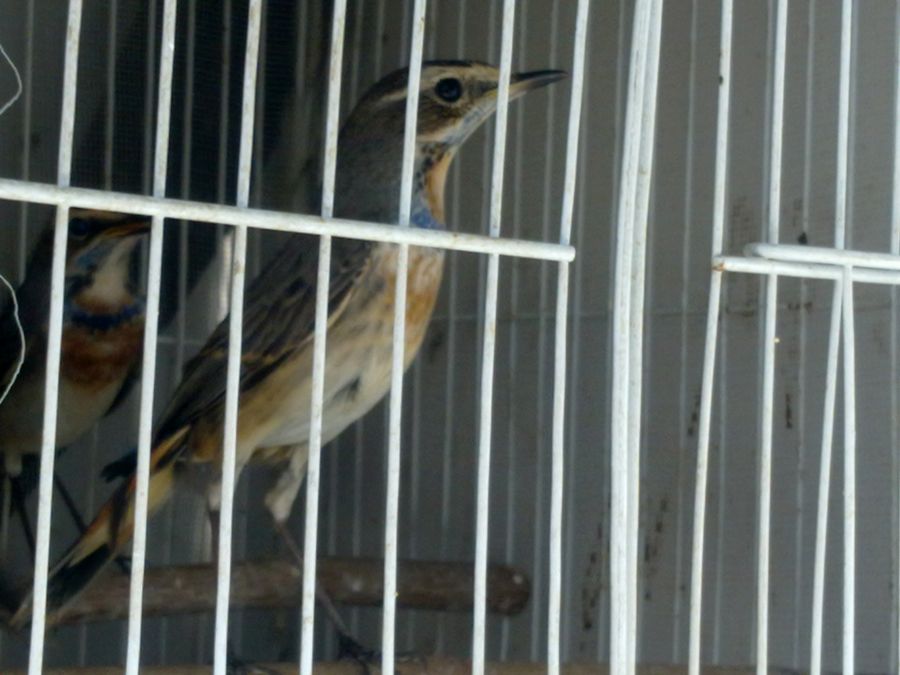 201210101658.jpg