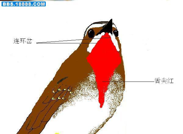 63_337358_726fa62c04060c6.jpg