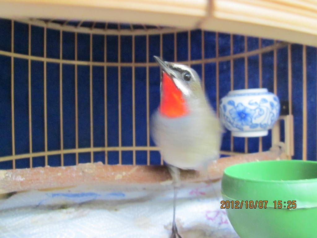 照片 084.jpg