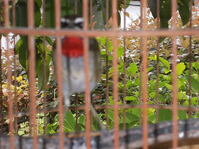 DSCN2213.JPG