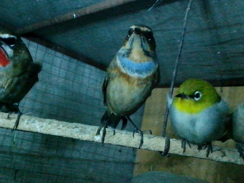 IMG_20121003_205655_副本.jpg