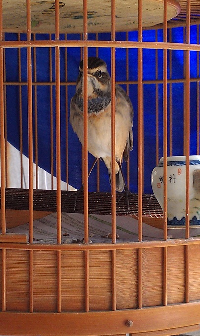 IMAG0251.jpg