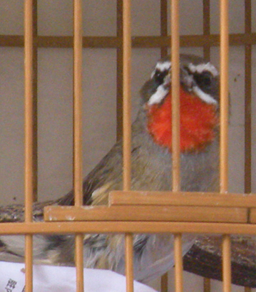 DSCN2889.jpg