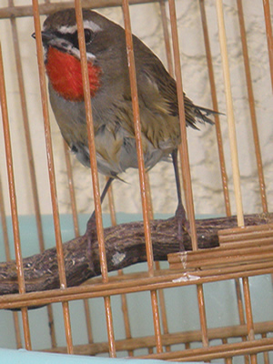 DSCN2920.jpg