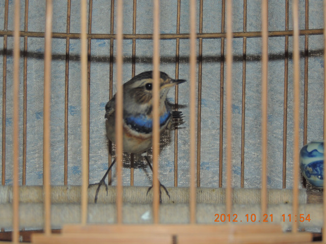 DSCN2244.JPG