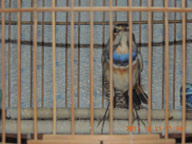 DSCN2250.JPG