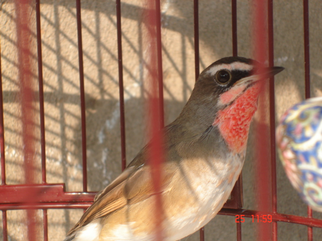 DSC01410.JPG