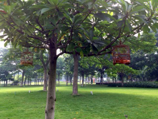 照片(11).JPG