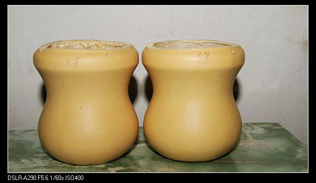 DSC04377.jpg