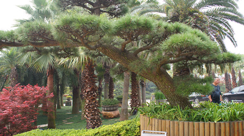 DSC00429_副本.jpg