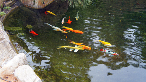 DSC00401_副本.jpg