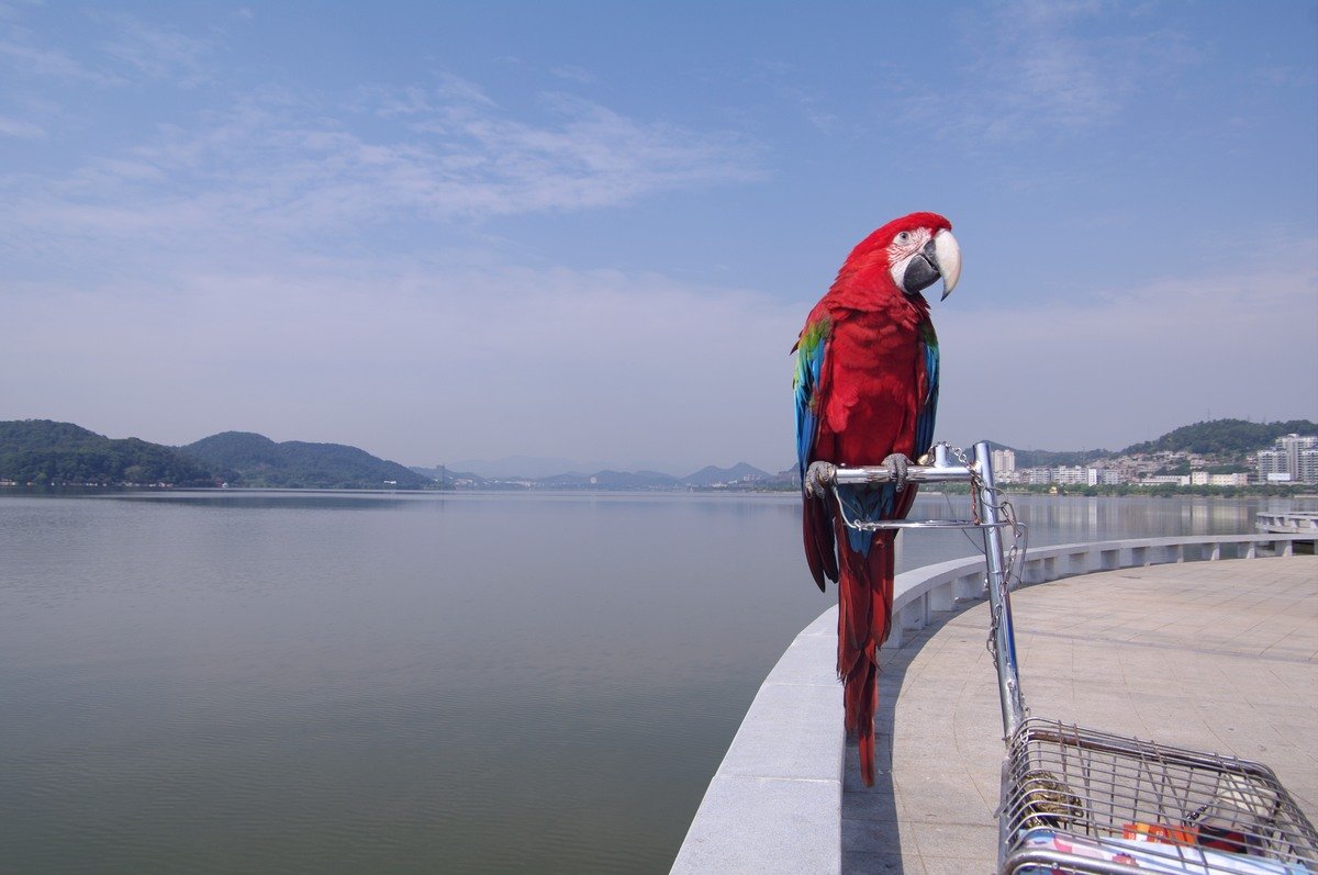 IMGP8797.jpg