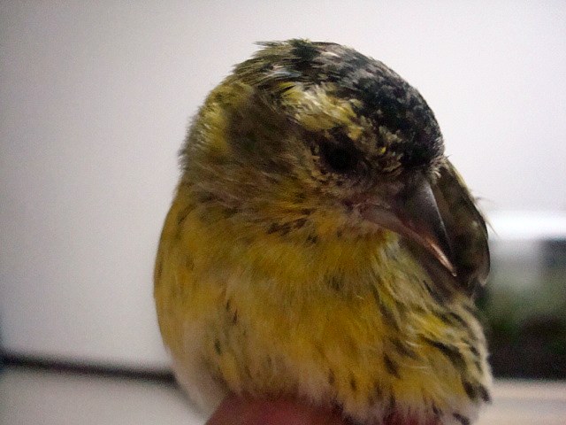 DSC06823.JPG