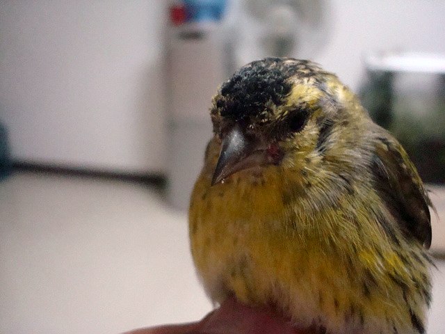 DSC06825.JPG