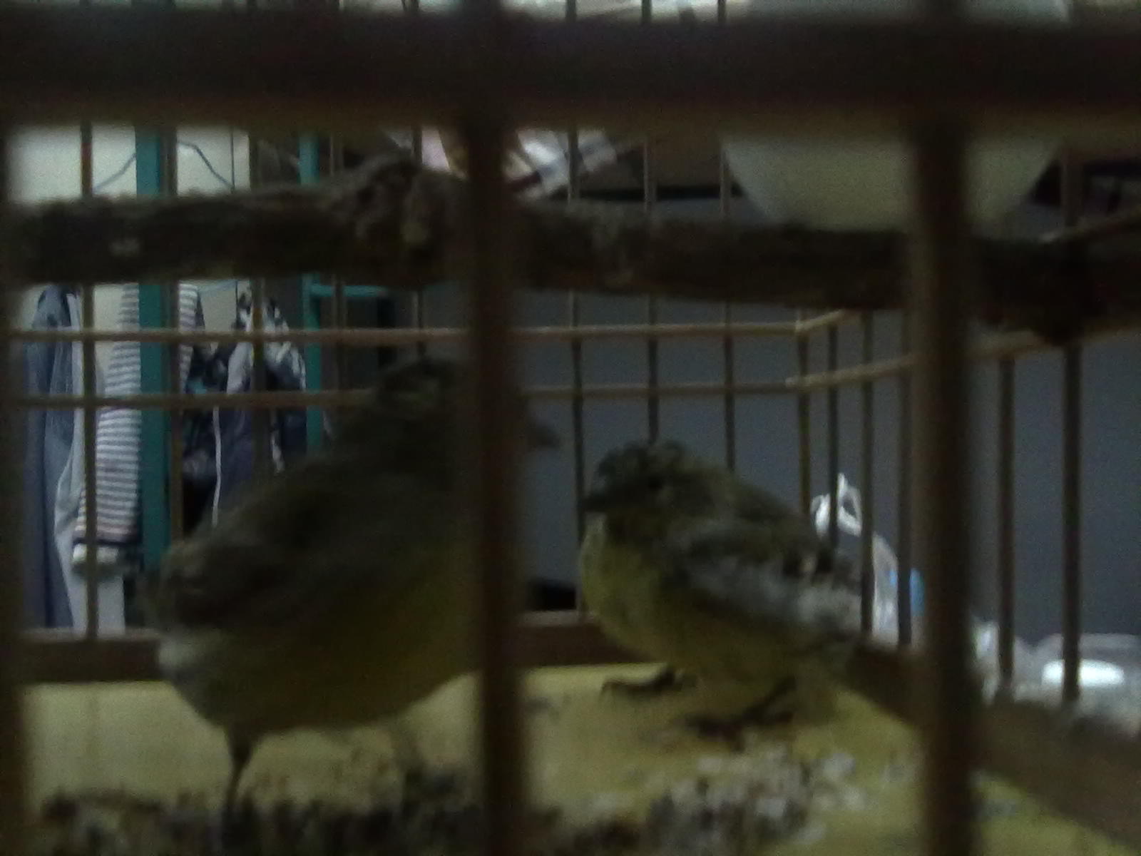 201210051018.jpg
