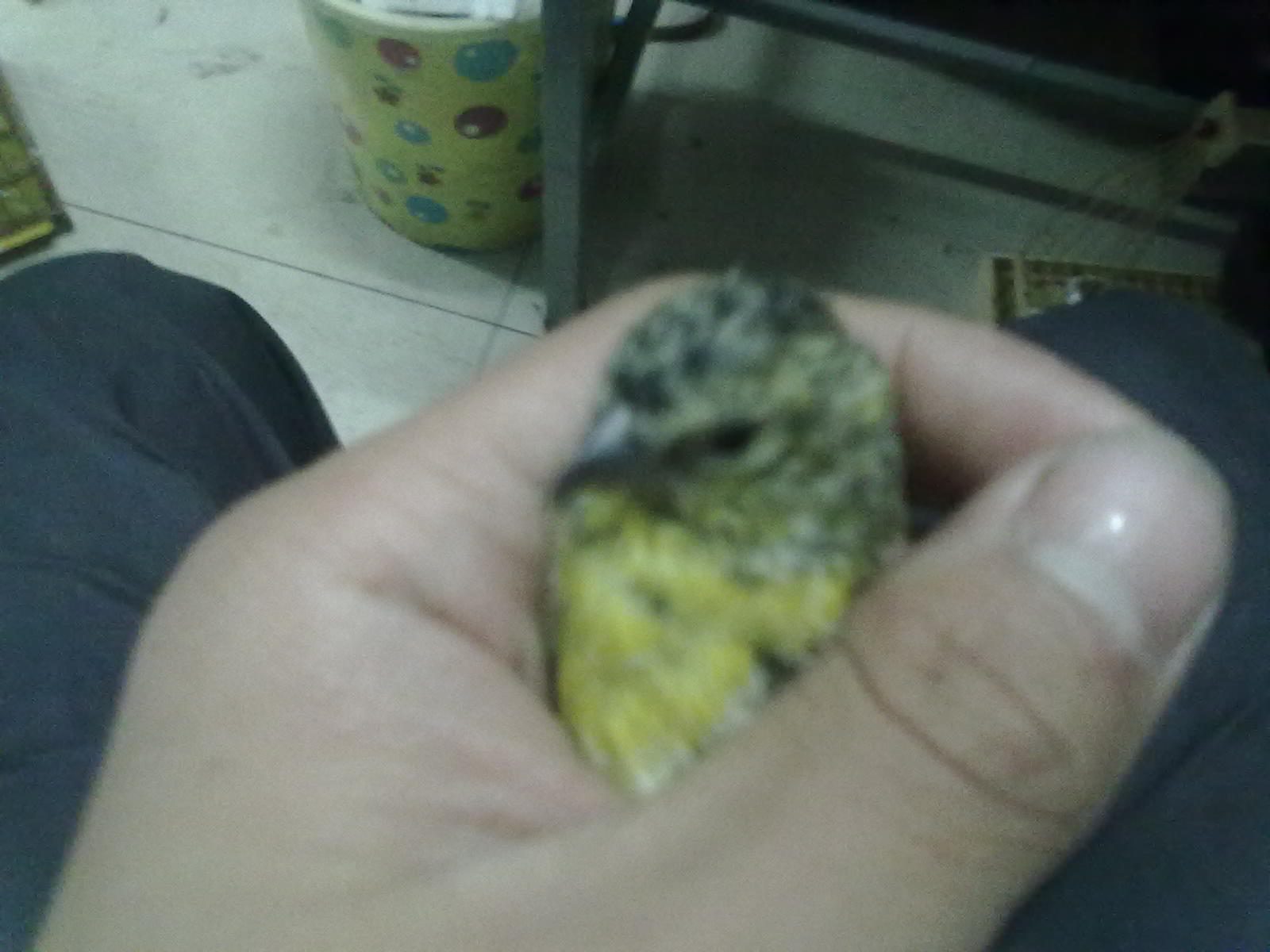 201210051020.jpg