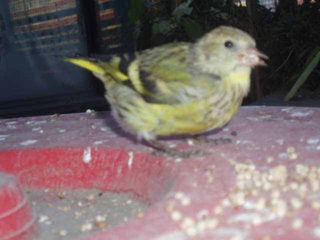 P1010057.JPG