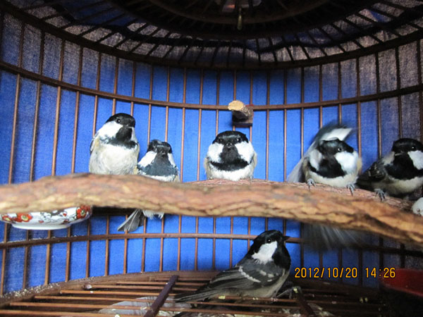 IMG_4202.jpg