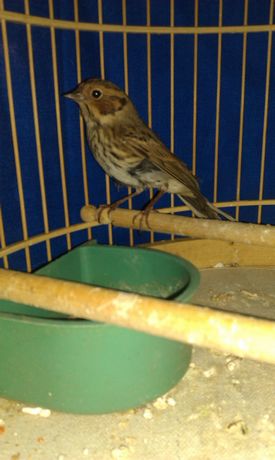 IMAG0078.jpg