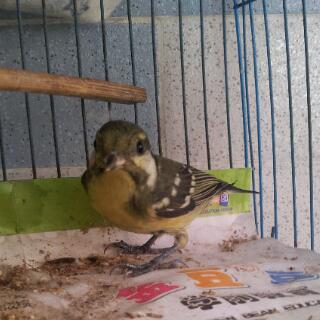 20121009_094406-1.jpg