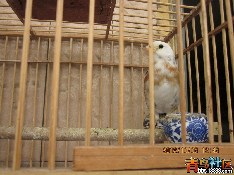 IMG_0812_缩小大小.JPG