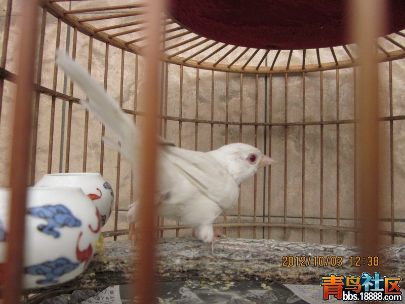 IMG_0801_缩小大小.JPG