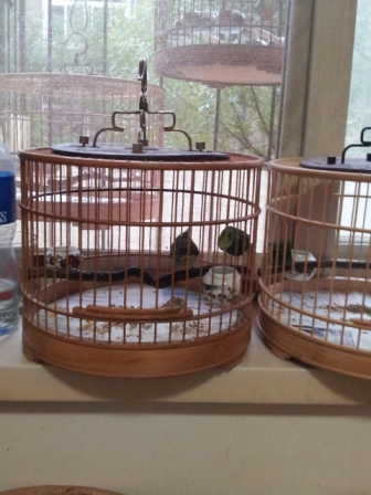 20121021_154234.jpg