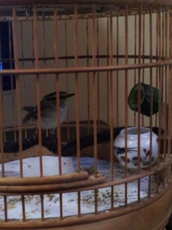 20121021_155537.jpg