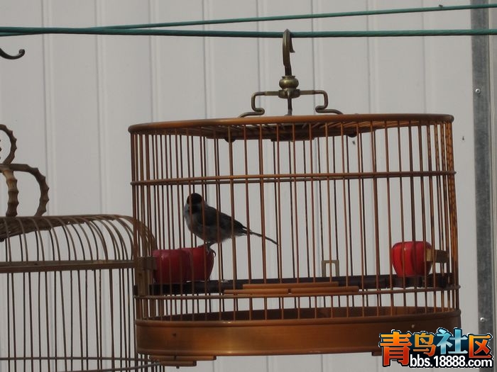 照片 370.jpg