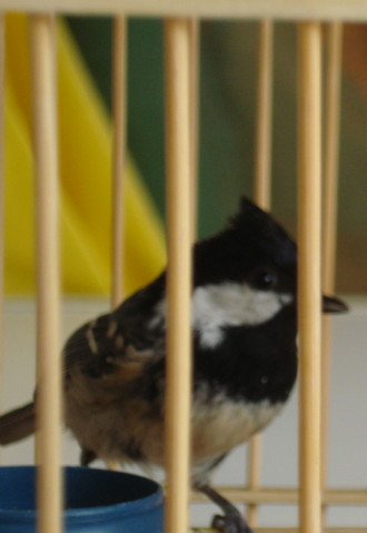 DSC03954_副本.jpg