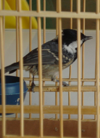 DSC04019_副本.jpg
