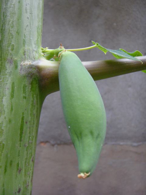 旋转 DSC01885.JPG