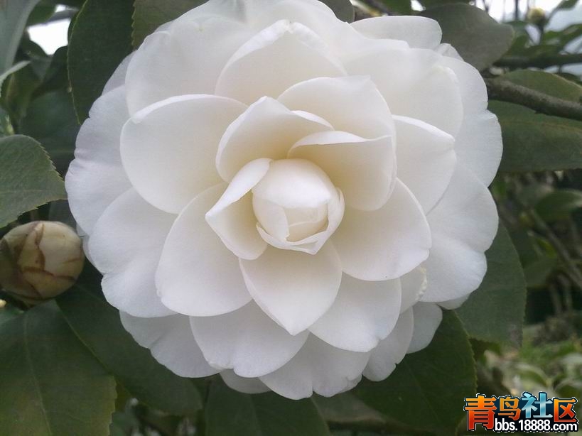 照片9 212.jpg