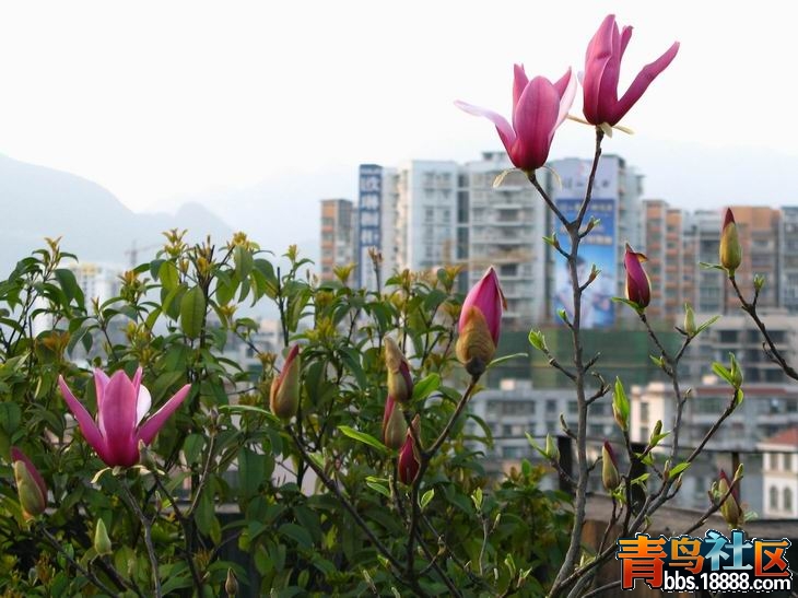 2012年照片 321.JPG