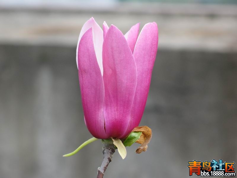照片 172.jpg