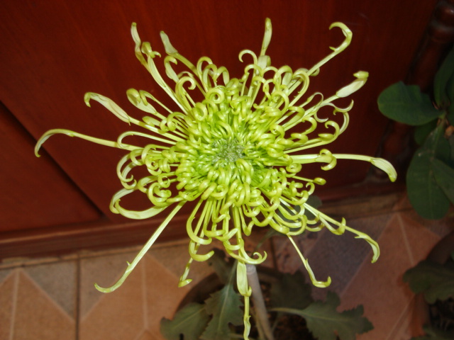 DSC01060.JPG