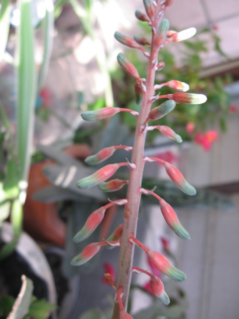 2012-11-27 035.jpg