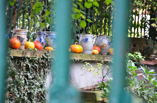 DSC_2436_副本.jpg