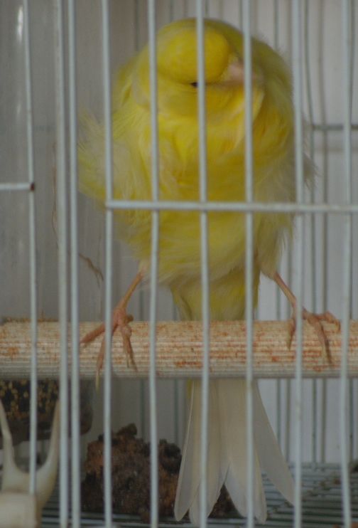 SS854271.JPG