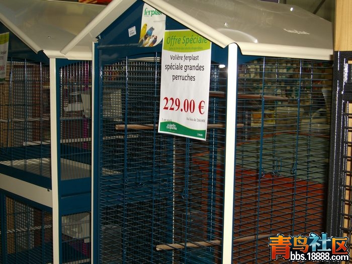 CIMG0367.jpg