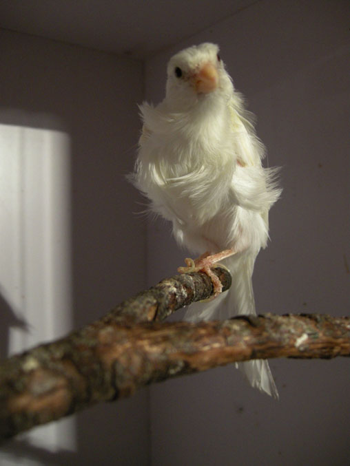 DSCN0109.JPG