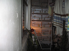 IMG_0903_副本.jpg