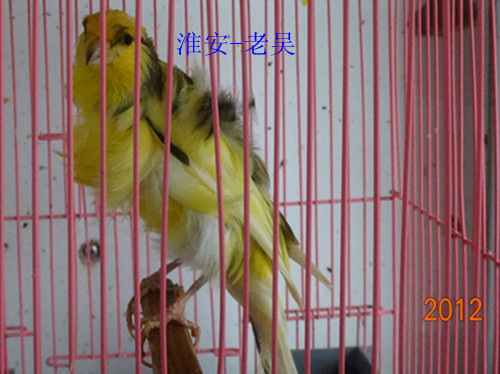DSC01144_副本.jpg