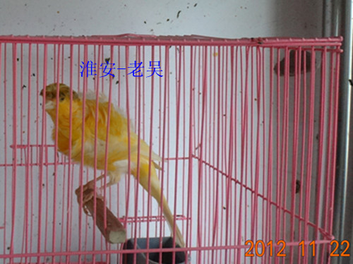 DSC01141_副本.jpg